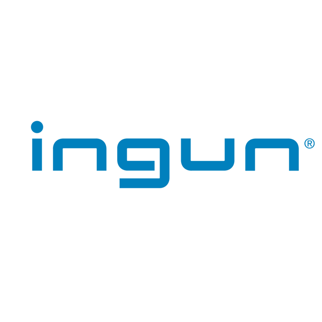 Logo Công Ty INGUN Group