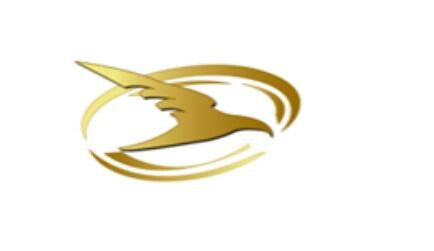 Logo Công Ty Song Ưng