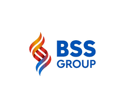 Logo Công Ty BSS Group