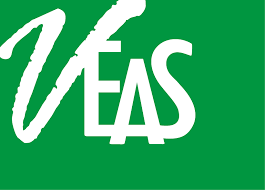Logo Công Ty VEAS