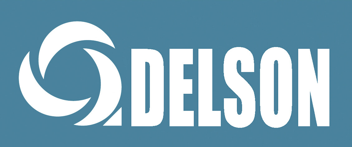 Logo Công Ty Delson Technology