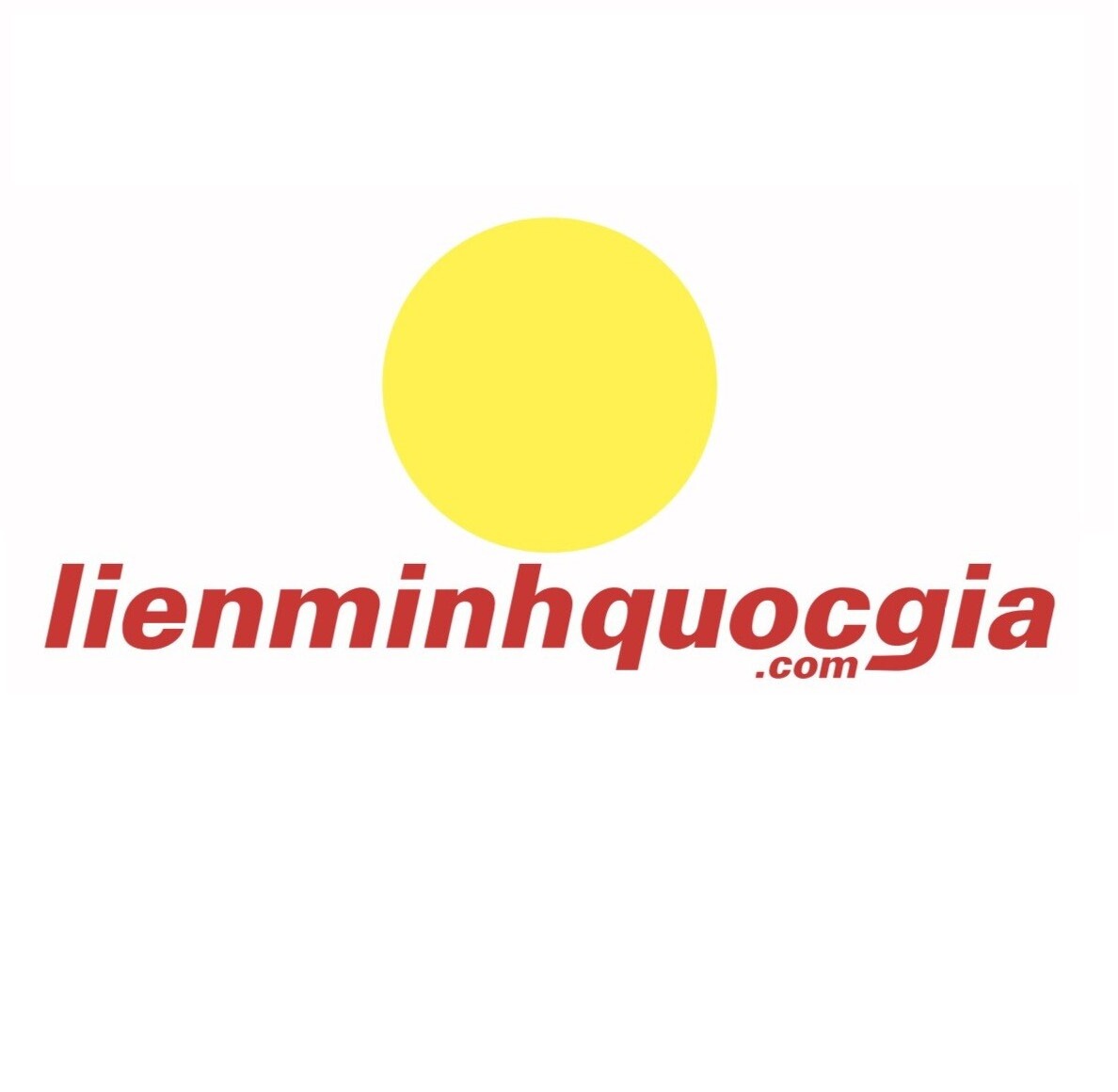 Logo Công Ty Liên Minh Quốc Gia