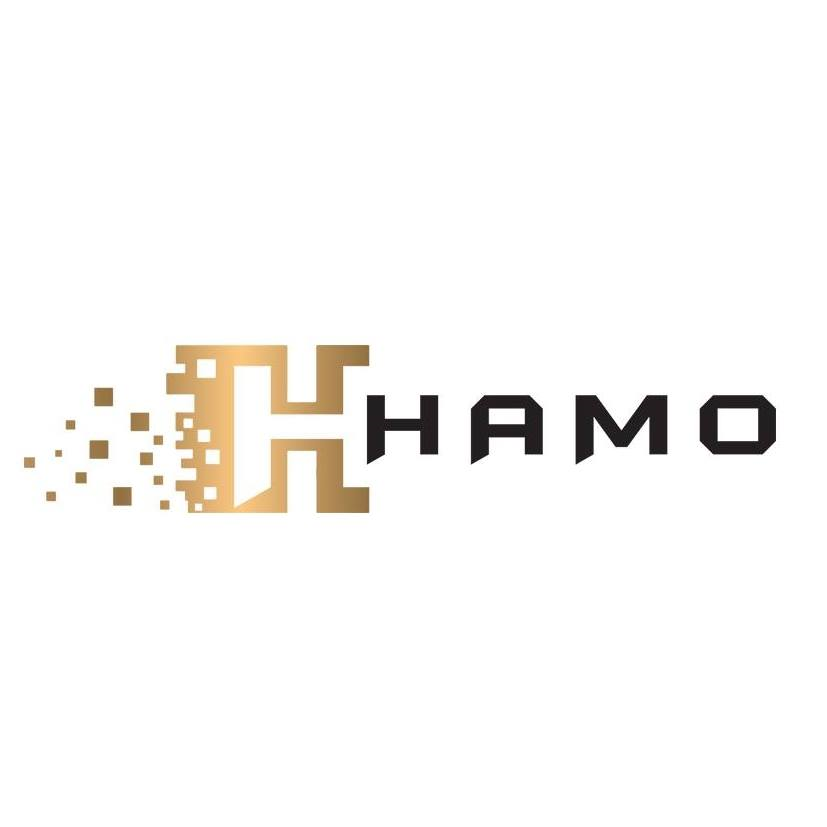 Logo Công Ty HaMo Holdings