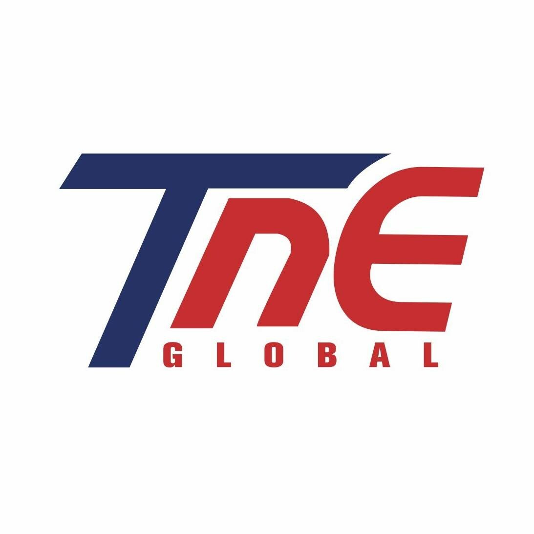 Logo Công Ty Tne Global