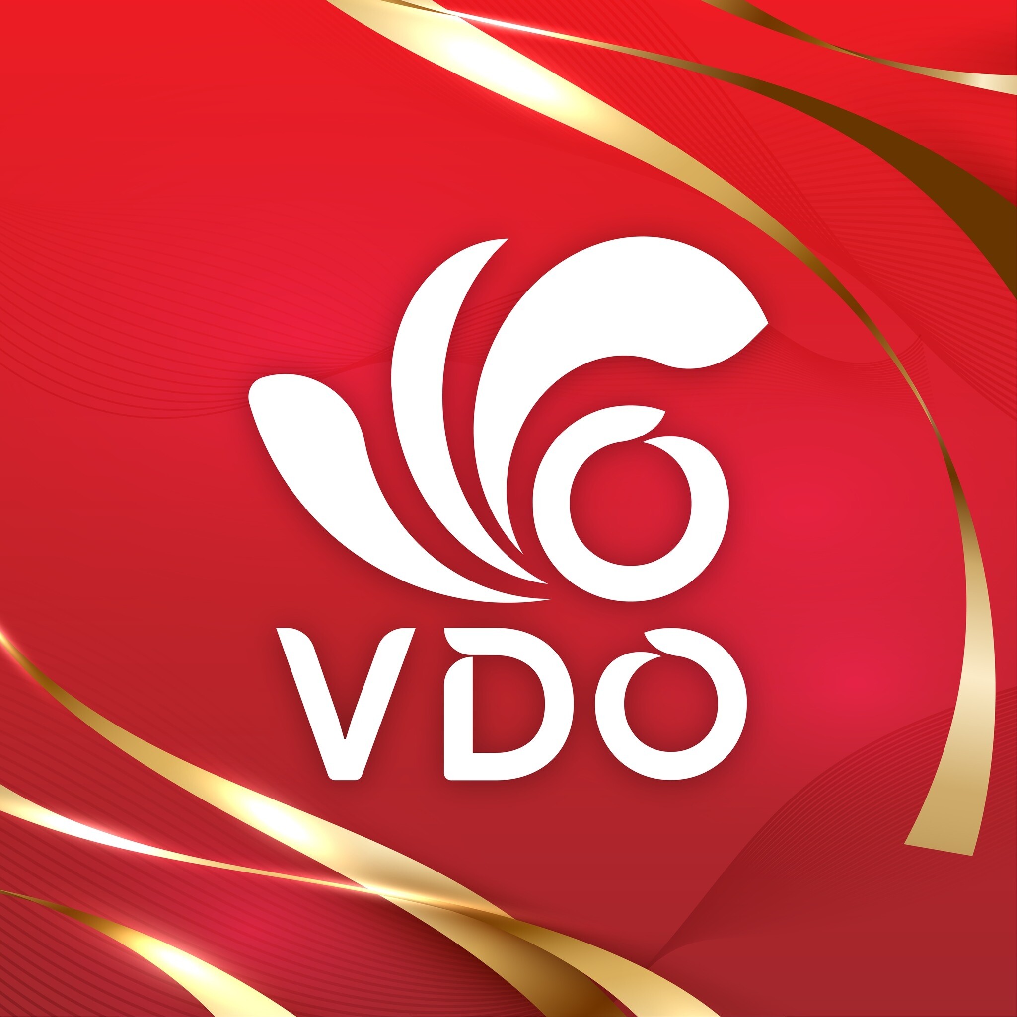 Logo Công Ty VDO