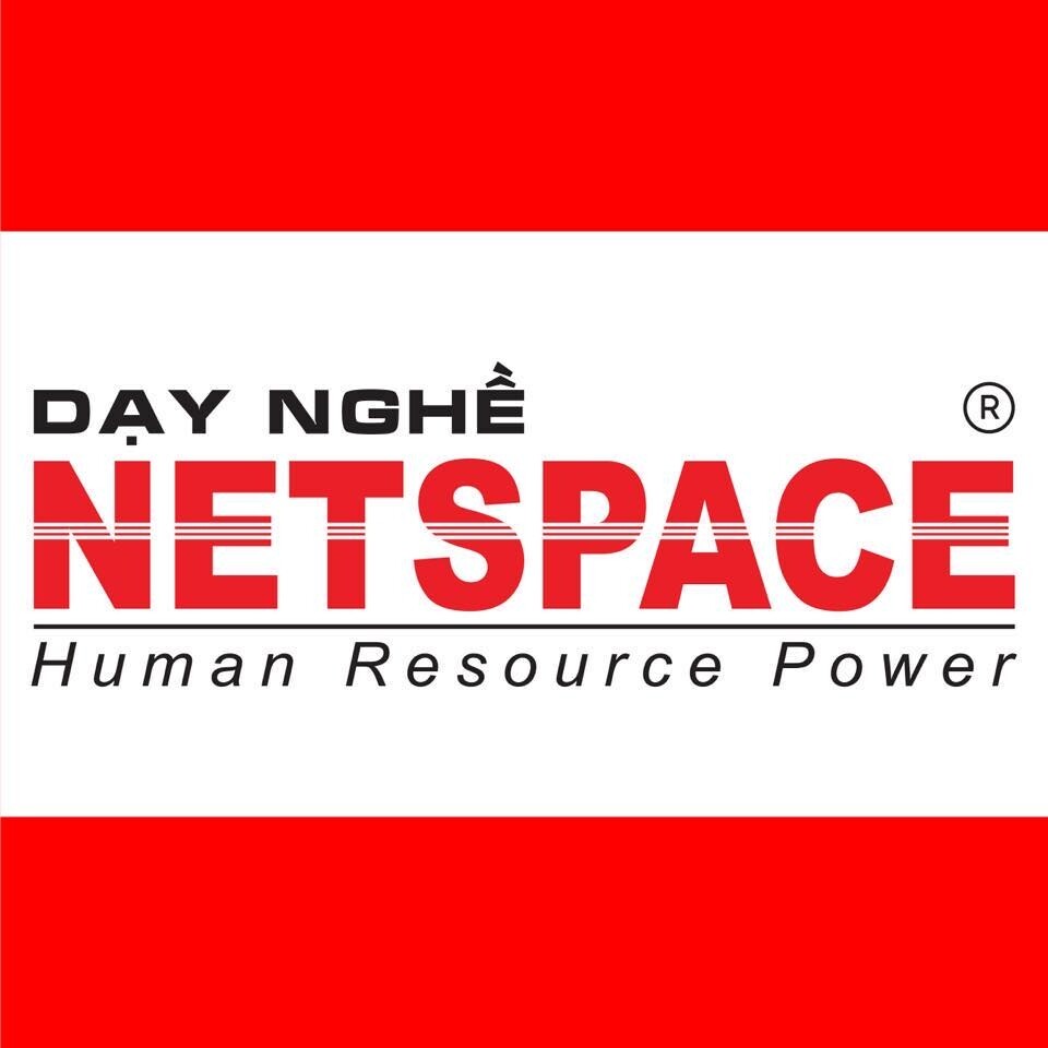 Logo Công Ty Dạy Nghề Netspace