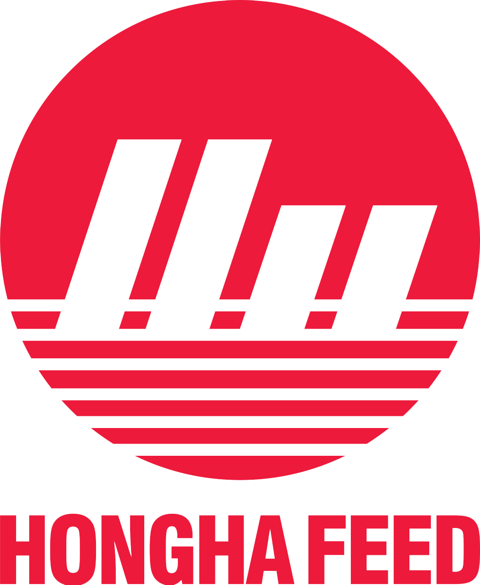 Logo Công Ty Hồng Hà Bình Định