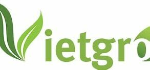 Logo Công Ty Xuất Nhập Khẩu Vietgro