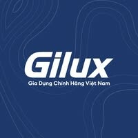 Logo Công Ty DANIS GROUP - Gilux