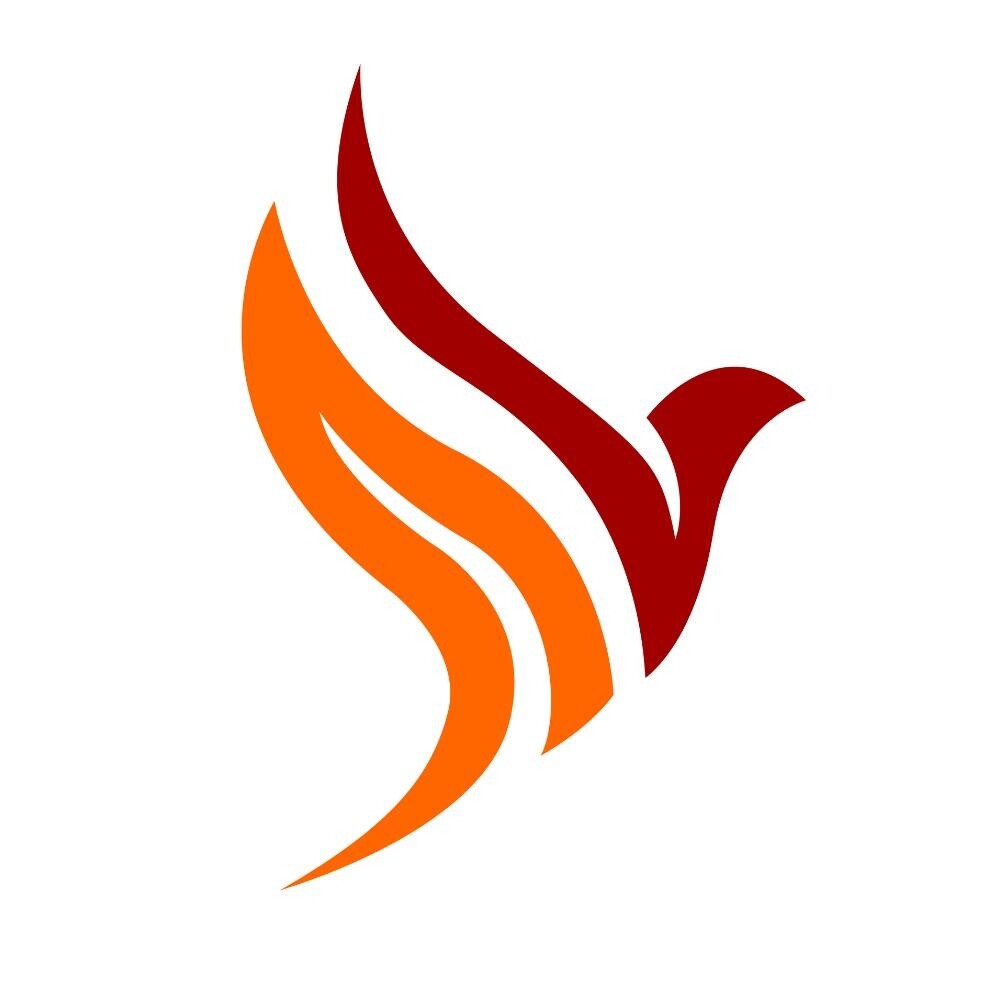 Logo Công Ty Phát Triển Thương Mại & Dịch Vụ Bảo Nam