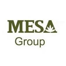 Logo Công Ty Thương Mại Và Dịch Vụ Mesa