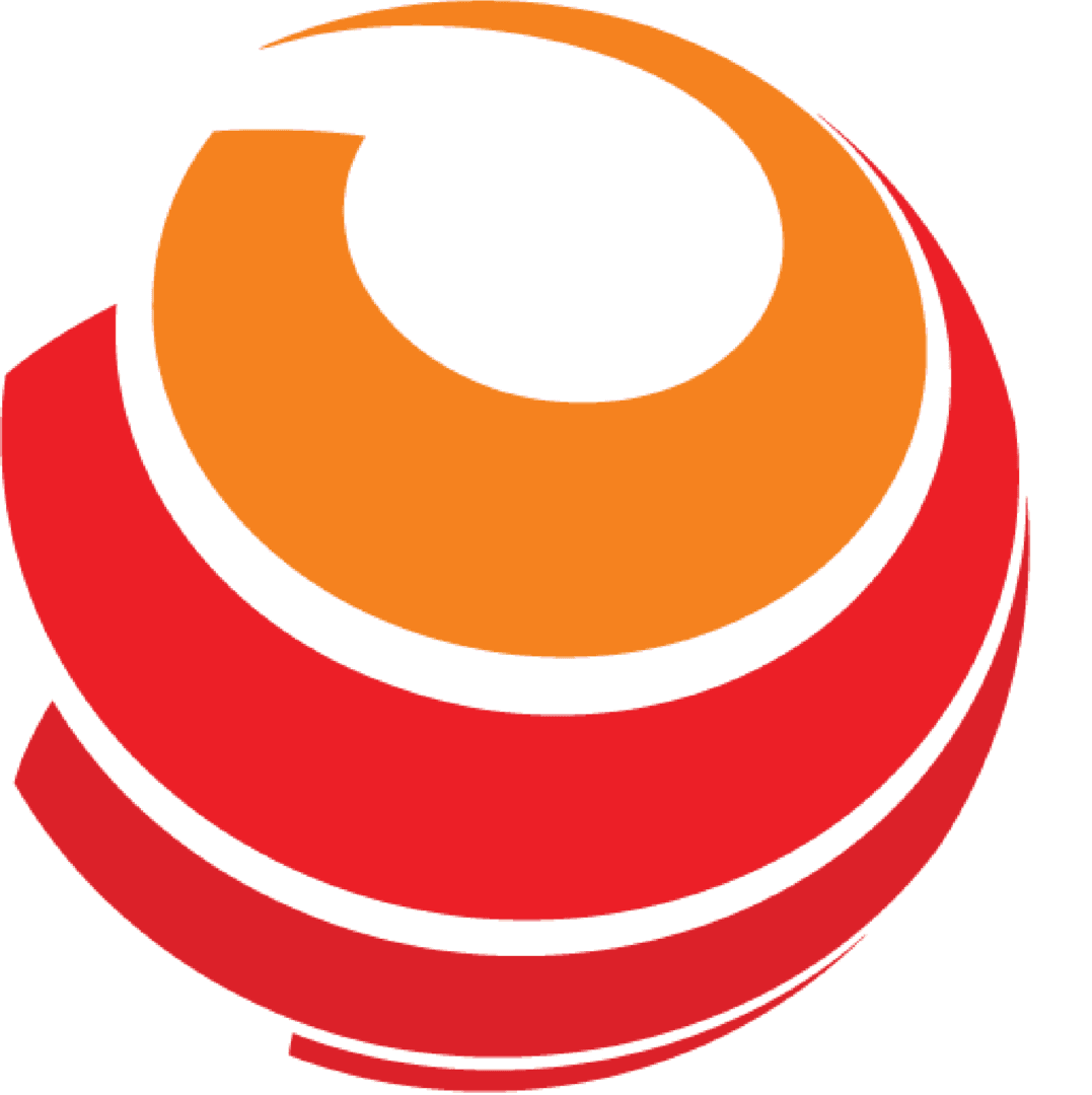 Logo Công Ty Giải Pháp Số Toàn Cầu - DSG