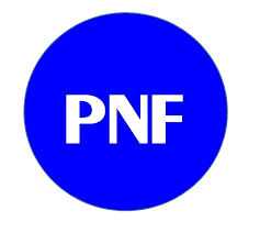 Logo Công Ty Sản Xuất Thương Mại Dịch Vụ PNF