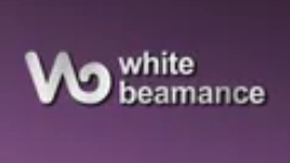 Logo Công Ty WHITEBEAMANCE