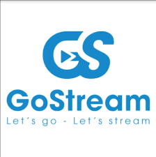 Logo Công Ty Công Nghệ Gostream