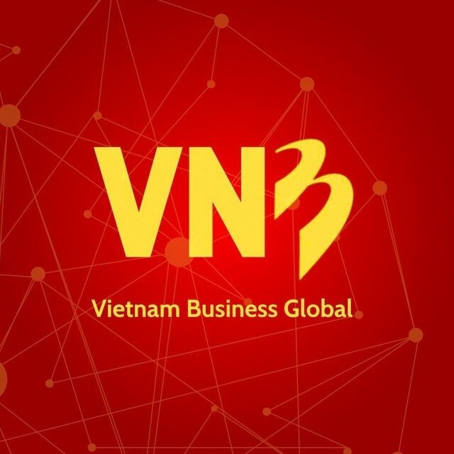 Logo Công Ty VNB GLOBAL