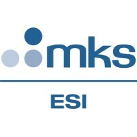 Logo Công Ty ESI an MKS Brand