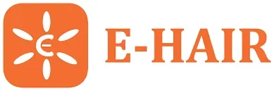Logo Công Ty XUẤT NHẬP KHẨU E-HAIR VIETNAM