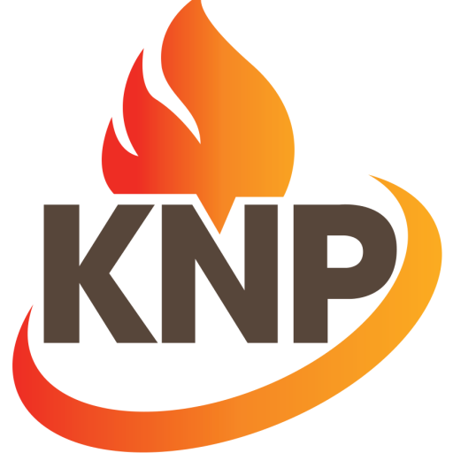 Logo Công Ty CÔNG NGHỆ AN TOÀN KIM NGÂN PHÁT