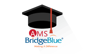 Logo Công Ty AMS Bridgeblue