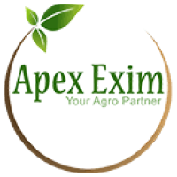 Logo Công Ty Apex Exim