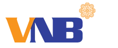 Logo Công Ty THƯƠNG MẠI VÀ PHÁT TRIỂN QUỐC TẾ VNB