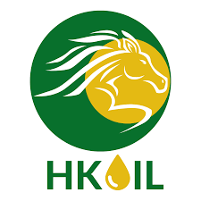 Logo Công Ty TM & XD HOÀNG KHẢI