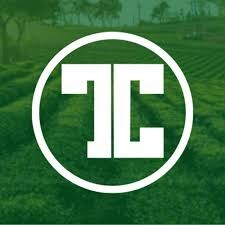 Logo Công Ty Tâm Châu Miền Bắc