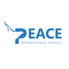 Logo Công Ty TRƯỜNG TIỂU HỌC, THCS VÀ THPT QUỐC TẾ HÒA BÌNH