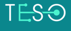 Logo Công Ty Công nghệ & giải pháp TESO