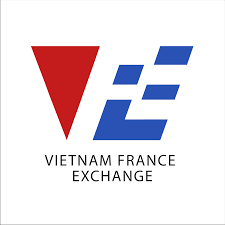 Logo Công Ty TRAO ĐỔI GIÁO DỤC, THƯƠNG MẠI VÀ DỊCH VỤ VIỆT PHÁP VFE