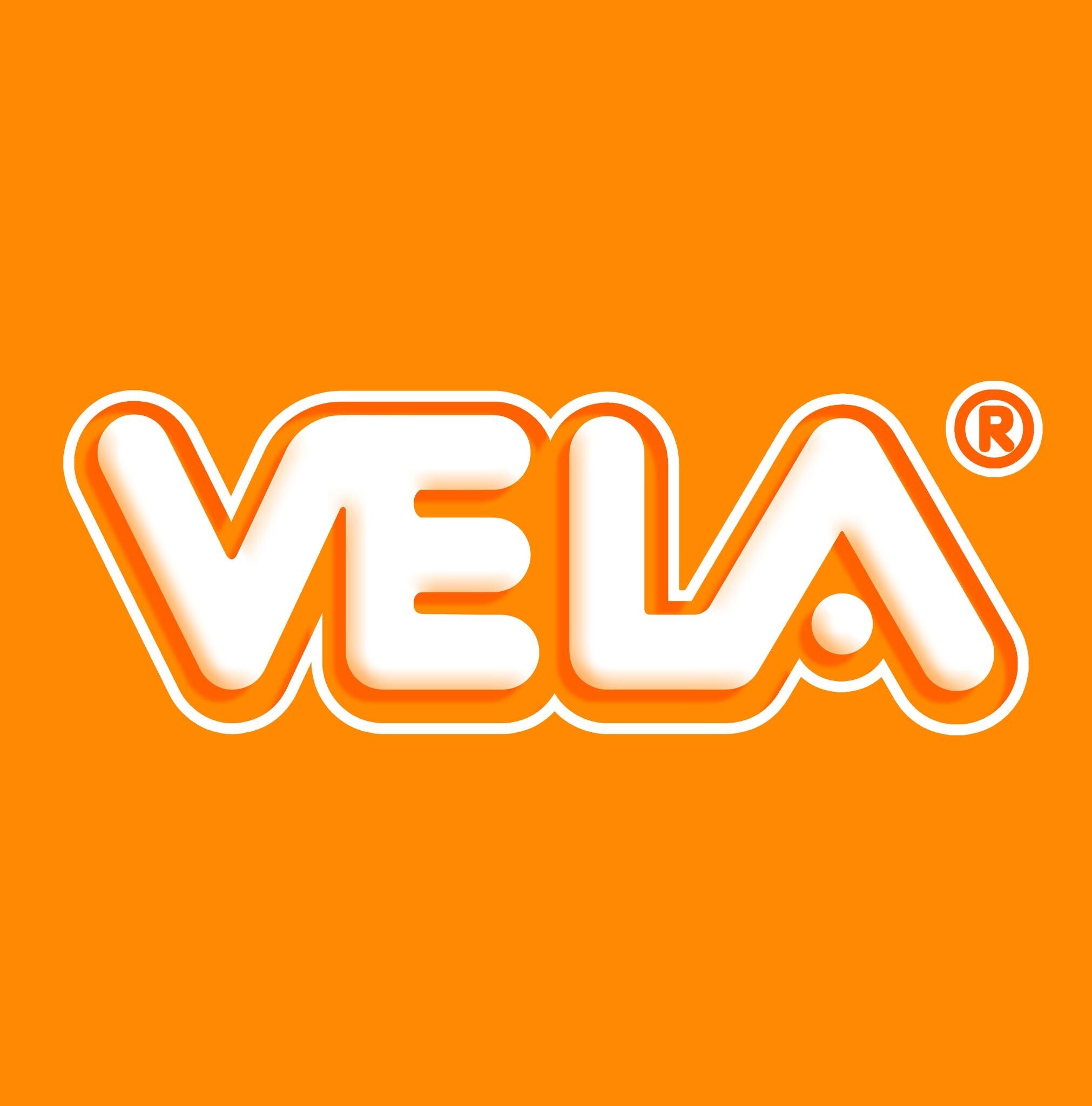 Logo Công Ty VELA FOODS