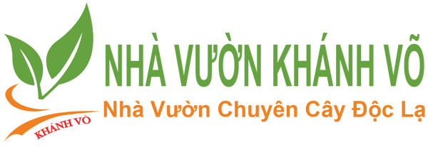 Logo Công Ty Cây Cảnh Ngoại Nhập Khánh Võ