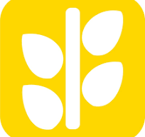 Logo Công Ty Sợi Chỉ Vàng