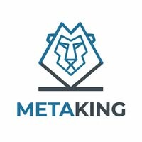 Logo Công Ty CÔNG TY TNHH METAKING