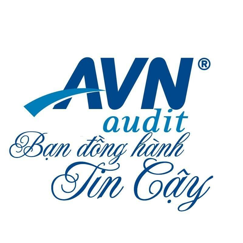 Logo Công Ty CÔNG TY TNHH KIỂM TOÁN AVN VIỆT NAM