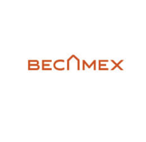Logo Công Ty Becamex IDC Corp