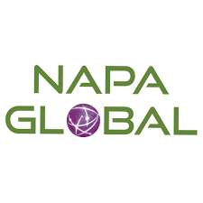 Logo Công Ty Napa Global