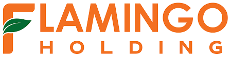 Logo Công Ty Flamingo Holding Group