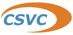 Logo Công Ty China Steel & Nippon Steel Việt Nam