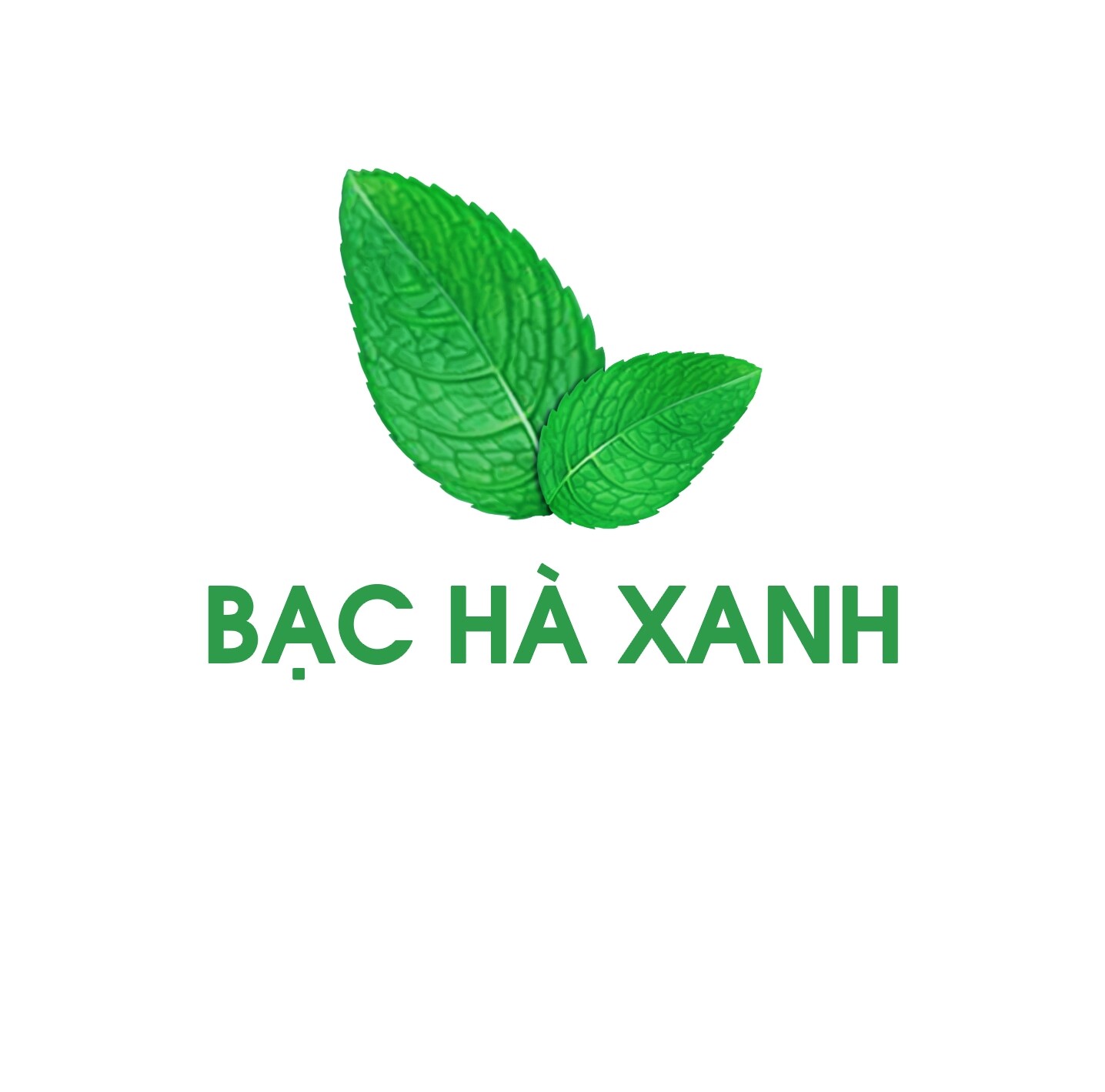 Logo Công Ty Bạc Hà Xanh