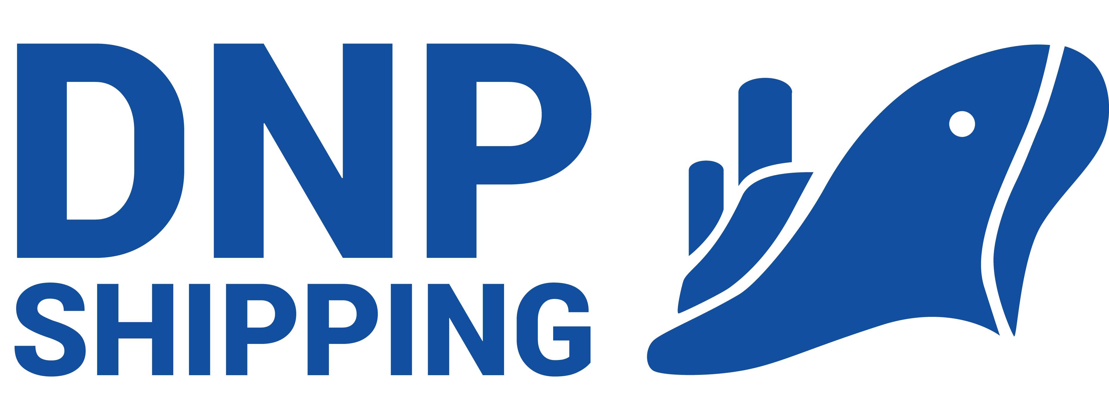 Logo Công Ty Dnp Shipping