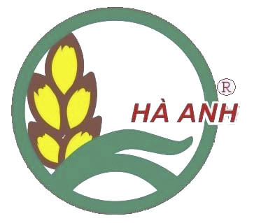 Logo Công Ty Xuất Nhập Khẩu Hà Anh