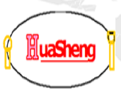Logo Công Ty HuaSheng Việt Nam
