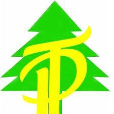 Logo Công Ty Pinetree