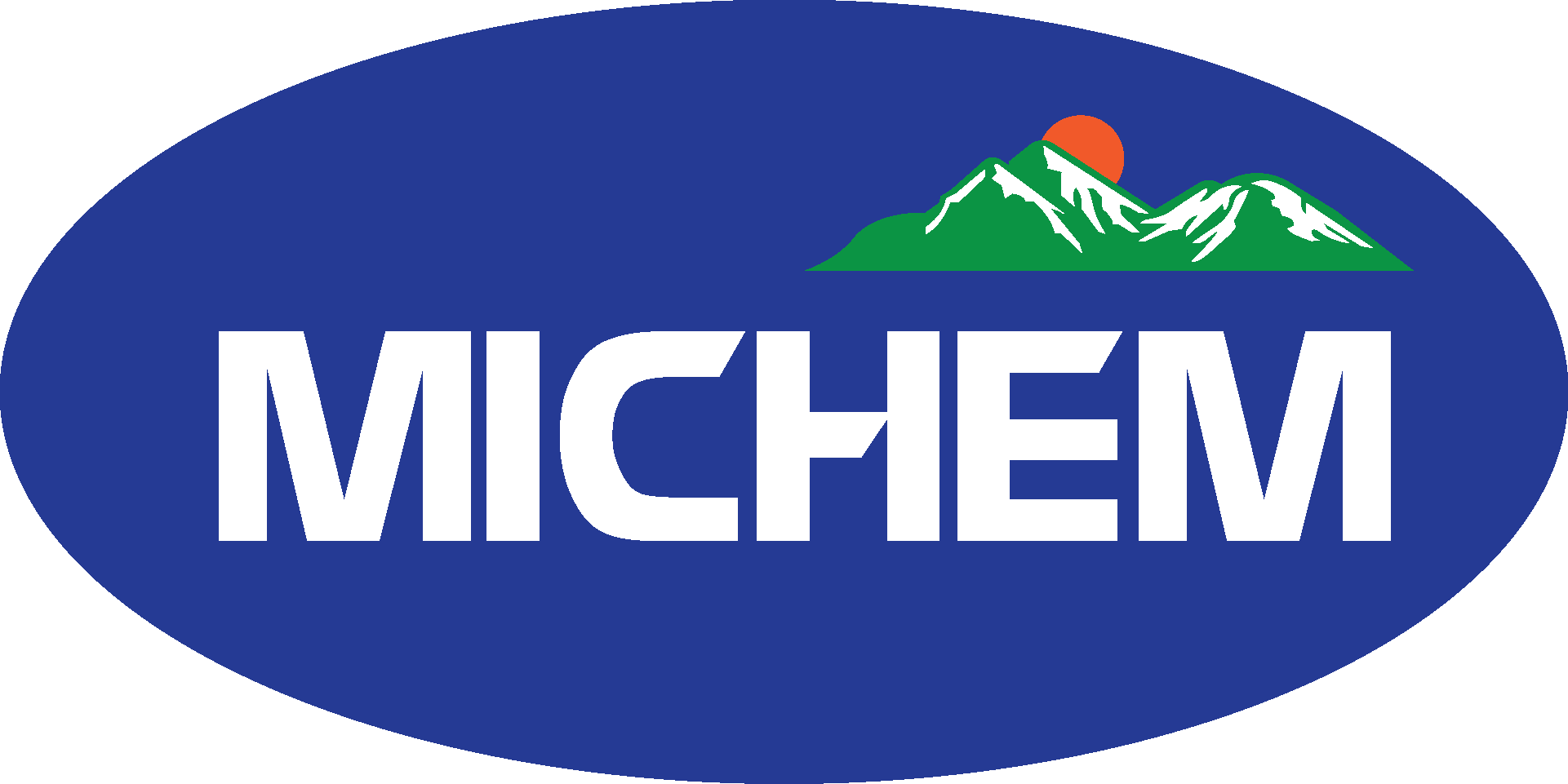 Logo Công Ty Công ty Michem Việt Nam