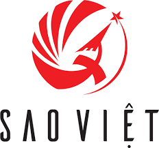 Logo Công Ty Bất Động Sản Sao Việt