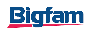 Logo Công Ty BIGFAM