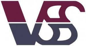 Logo Công Ty SUN VIGOR VIỆT NAM