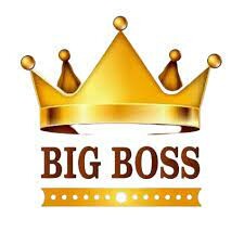 Logo Công Ty BIG BOSS